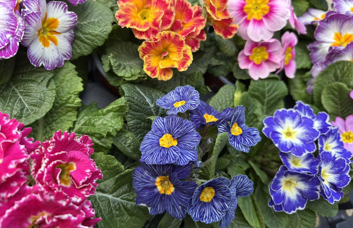 Spring is coming!