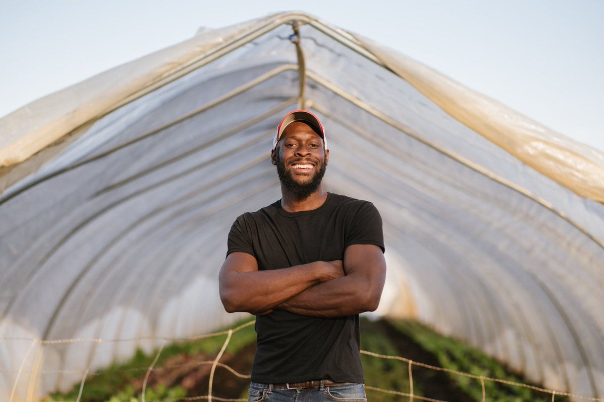 Everyone won’t meet the qualifications for a USDA loan, so here are 9 alternatives to help fund your farm or small garden 🥬🐝🥬🪴