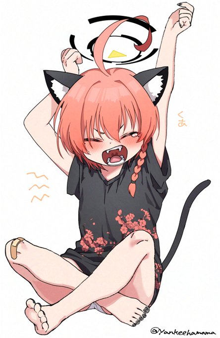 猫の日ネルちゃん🧡 