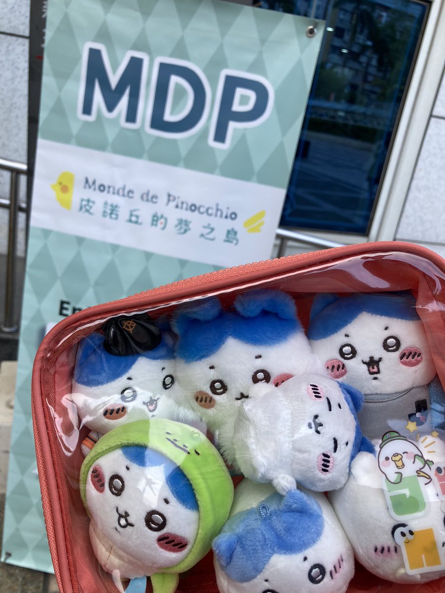 sinoun99's tweet image. 貓貓日，帶貓貓們去娃場玩