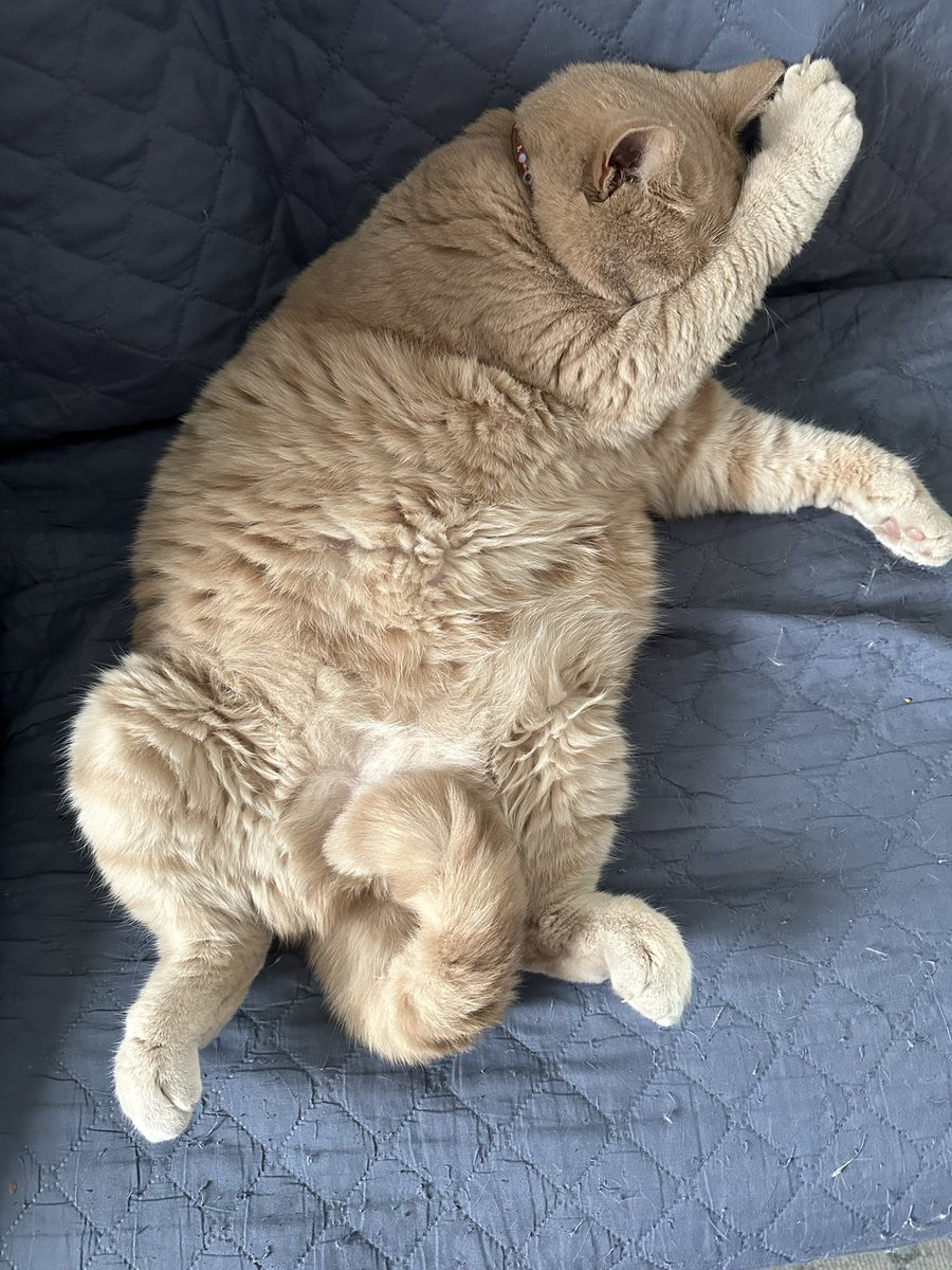 Emmareike 🌈 🇵🇸 (@emmareike) on Twitter photo 