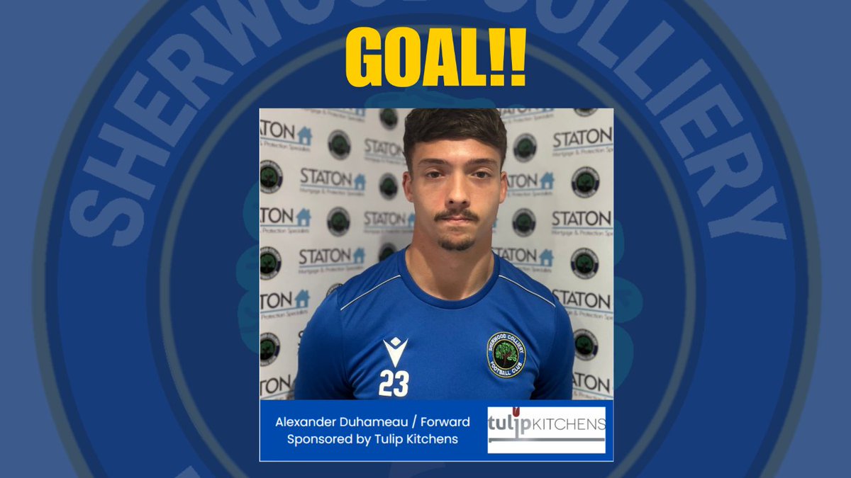 GOAL: SHERWOOD COLLIERY 1-0 Dunston - Alexander Duhameau (4') <a href="/PitchingIn_/">Pitching In</a> fwp.co/rLt5nc