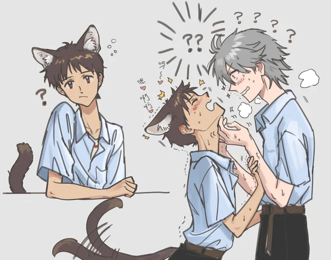 🐱 