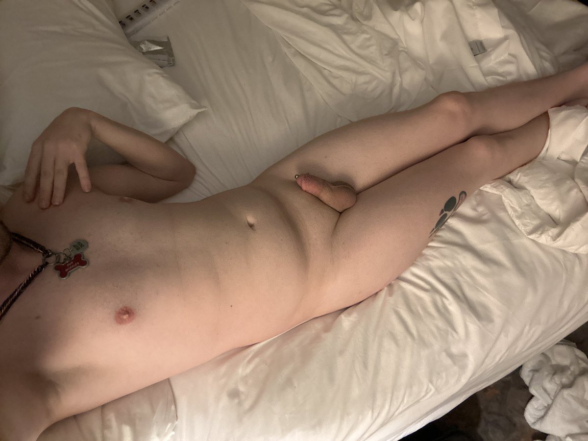 Am shaved doggo now….. and VERY itchy. XD