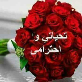 🌹السلام عليكم ورحمه الله وبركاته 🌹
عدت بعد غياب اسبوع
شكرا لكم من أعماق قلبي لكل من سال عني 
يا اعز واغلى إخوة في الله 
أتمني أن تكونوا بالف الف خير 
ربي يحفظكم 🌹 ويحميكم 🌹بعينه التي لا تنام 🌹