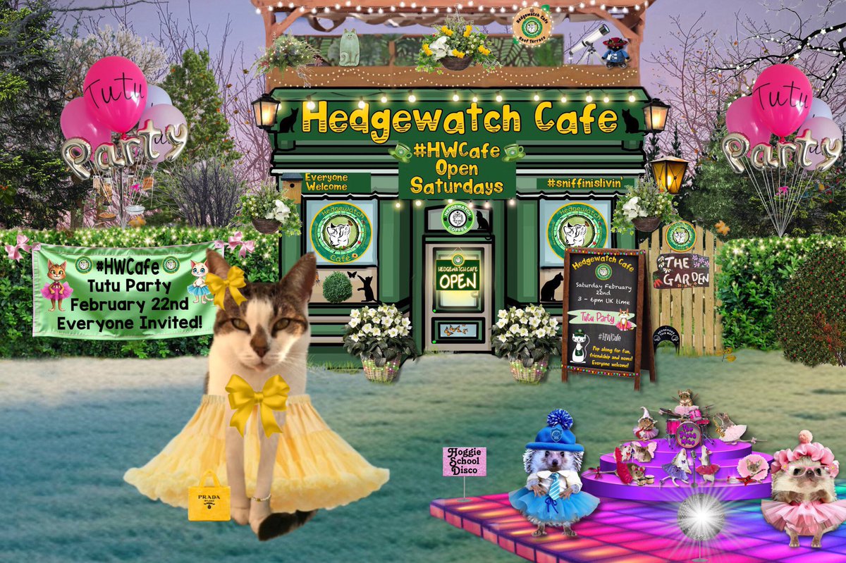 #hwcafe good afternoon all 💓🐾💓 so pleased to be here at the Hedgewatch Cafe with you all🌟 happy caturday friends 🐾😻🐾