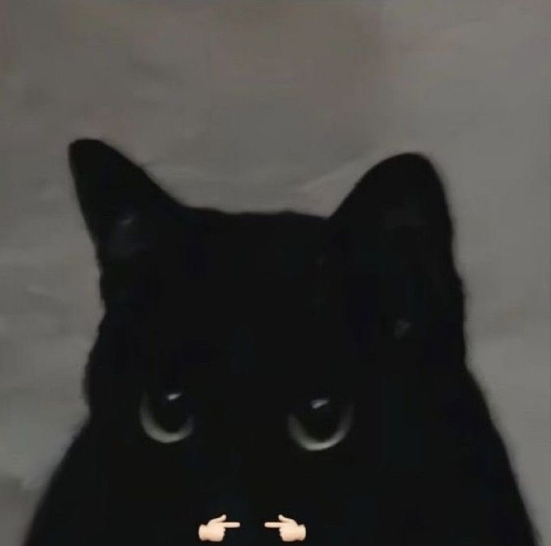 "Sowwy"