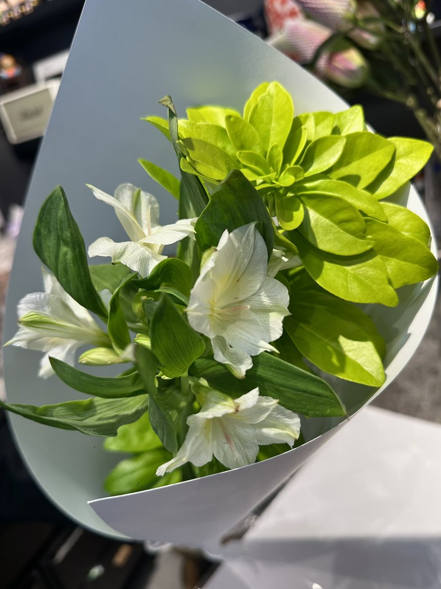 喜欢植物
这个番茄叶超级超级好闻 晚上点了早上睁眼还是它的味道会心情很好 很清新的番茄香带着植物根茎的草味 （谁能懂
最近比起花更喜欢叶子 买了一支特别漂亮的墨西哥菊叶 希望它活久一点