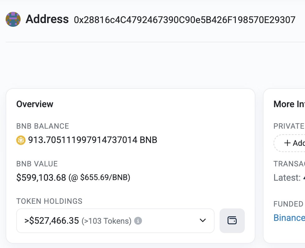 I donated $100k (150 BNB) from this address. Now the address has received more than $1m back. I will not keep any of coins/tokens for myself.   What should I do with it? Add to an LP pool? Airdrop? Donate to a charity? Send to a burn address? Any other ideas?

Serious question.