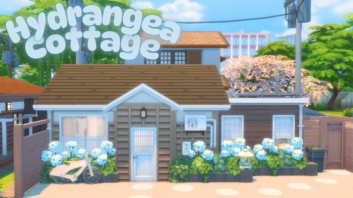 🌸 Sakura 🌸 tweet media