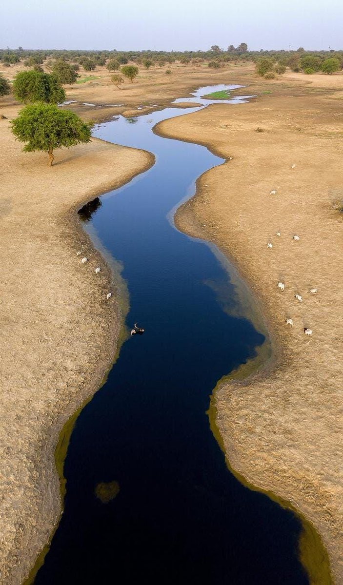 Rajiv patelЁЯЗоЁЯЗ│ЁЯЪй (@rajivpateldudal) on Twitter photo рдХреИрд╕реЗ рд░рд╣рддреЗ рд╣реЛрдВрдЧреЗ рдРрд╕реЗ рдЧрдВрджреЗ рдкрд╛рдиреА рдореЗрдВ рд▓реЗрдХрд┐рди рдХреНрдпрд╛ рдХрд░реЗрдВ рдордЬрдмреВрд░реА рд╣реЛ рдЧрдИ рд╣реИ рд▓реЛрдЧреЛрдВ рдХреА рд╕рд░рдХрд╛рд░ рдХреБрдЫ рдирд╣реАрдВ рдХрд░ рдкрд╛ рд░рд╣реА рд╣реИ рд▓рд╛рдирдд рд╣реИ рдРрд╕реА рд╕рд░рдХрд╛рд░ рдкрд░ рд▓реЛрдЧреЛрдВ рдХреЛ рд╢реБрджреНрдз рд╣рд╡рд╛ рдкрд╛рдиреА рдирд╣реАрдВ рджреЗ рдкрд╛рдИ #рджреВрд╖рд┐рдд_рдЬреЛрдЬрд░реА_рд╕реЗ_рдЬреАрд╡рди_рдмрдЪрд╛рдУ
<a href="/CPCB_OFFICIAL/">Central Pollution Control Board</a> <a href="/BhajanlalBjp/">Bhajanlal Sharma</a> <a href="/RajCMO/">CMO Rajasthan</a> <a href="/JodhpurDm/">District Collector & Magistrate, Jodhpur</a> <a href="/RSPCB_official/">RSPCB</a> рдХреИрд╕реЗ рд░рд╣рддреЗ рд╣реЛрдВрдЧреЗ рдРрд╕реЗ рдЧрдВрджреЗ рдкрд╛рдиреА рдореЗрдВ рд▓реЗрдХрд┐рди рдХреНрдпрд╛ рдХрд░реЗрдВ рдордЬрдмреВрд░реА рд╣реЛ рдЧрдИ рд╣реИ рд▓реЛрдЧреЛрдВ рдХреА рд╕рд░рдХрд╛рд░ рдХреБрдЫ рдирд╣реАрдВ рдХрд░ рдкрд╛ рд░рд╣реА рд╣реИ рд▓рд╛рдирдд рд╣реИ рдРрд╕реА рд╕рд░рдХрд╛рд░ рдкрд░ рд▓реЛрдЧреЛрдВ рдХреЛ рд╢реБрджреНрдз рд╣рд╡рд╛ рдкрд╛рдиреА рдирд╣реАрдВ рджреЗ рдкрд╛рдИ #рджреВрд╖рд┐рдд_рдЬреЛрдЬрд░реА_рд╕реЗ_рдЬреАрд╡рди_рдмрдЪрд╛рдУ
<a href="/CPCB_OFFICIAL/">Central Pollution Control Board</a> <a href="/BhajanlalBjp/">Bhajanlal Sharma</a> <a href="/RajCMO/">CMO Rajasthan</a> <a href="/JodhpurDm/">District Collector & Magistrate, Jodhpur</a> <a href="/RSPCB_official/">RSPCB</a>