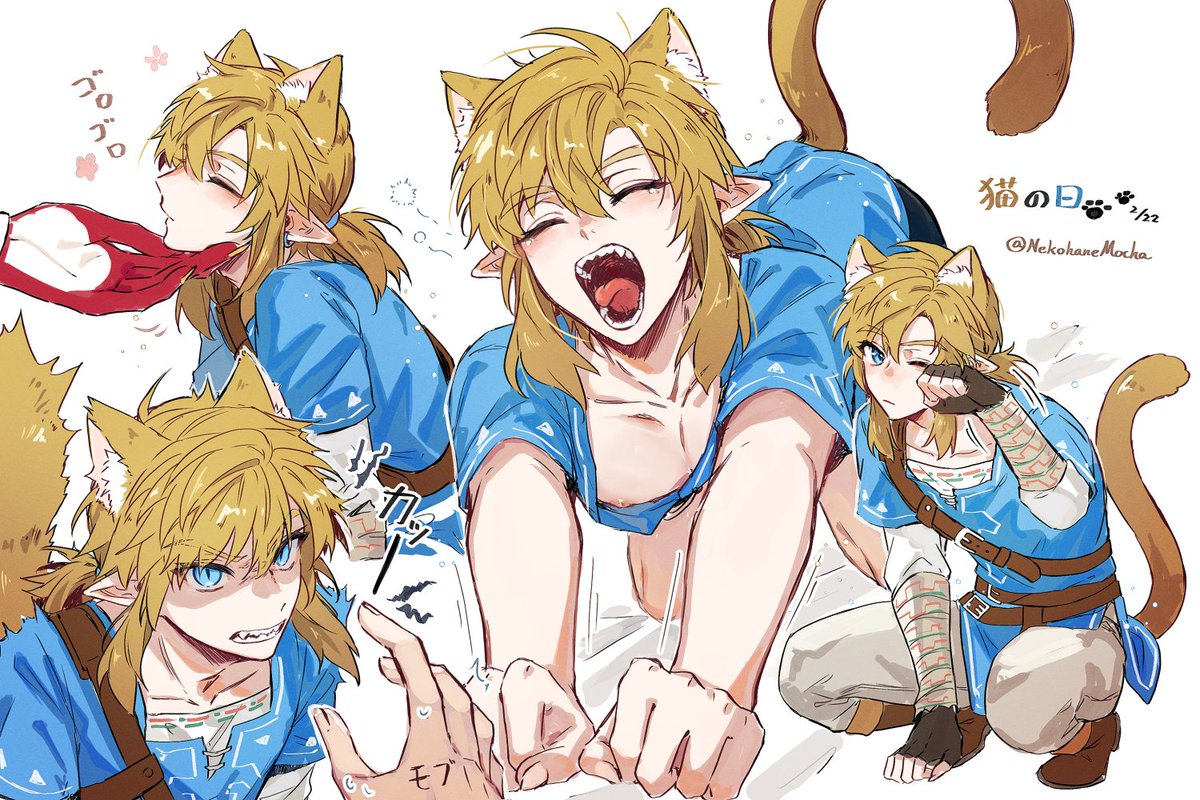 nekohanemocha's tweet image. 猫の日👀