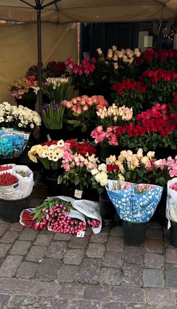 ❀ (@i3moment) on Twitter photo 