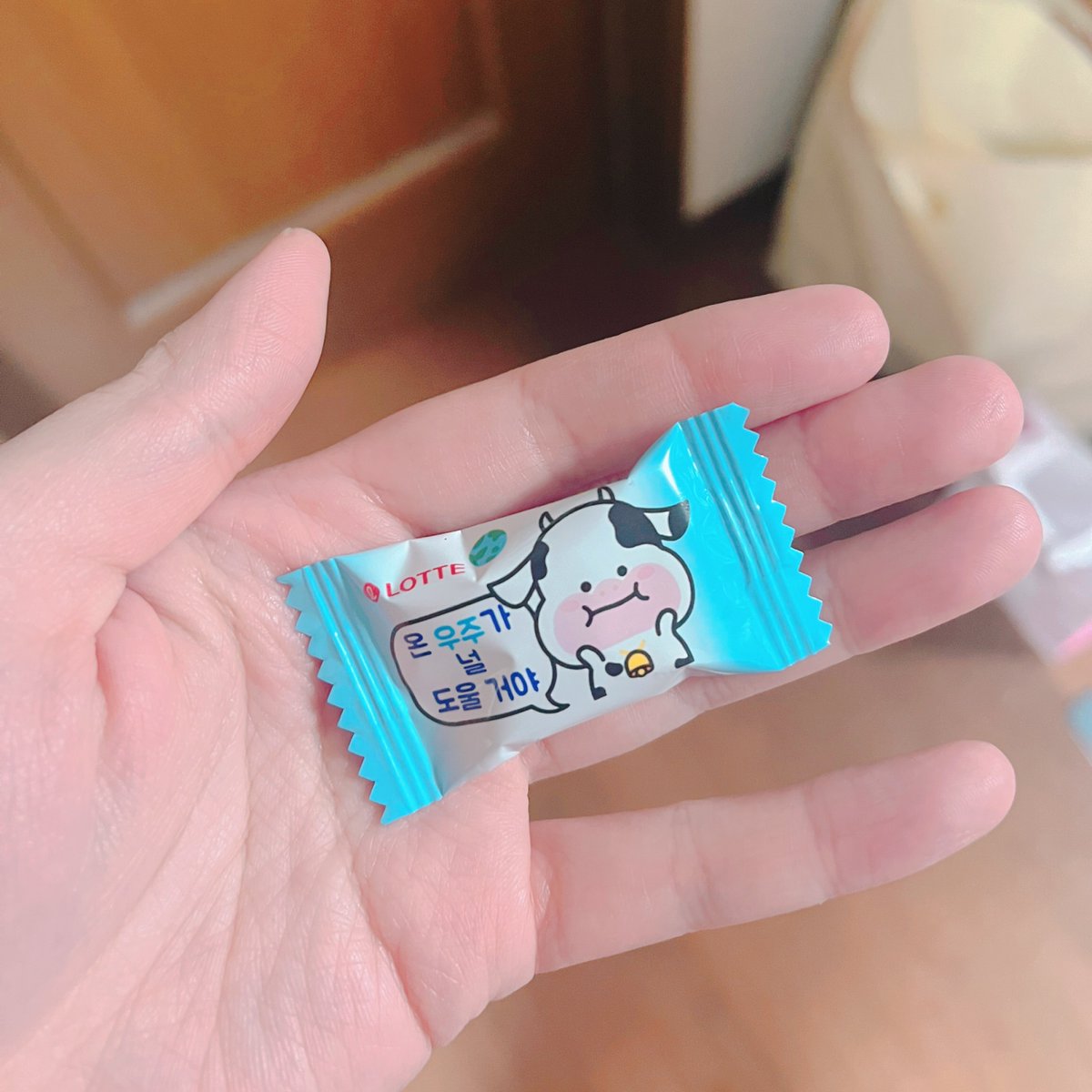 TottoNoMe_'s tweet image. 이것을 사기 위해 한국에 가고 싶습니다. 뭐야, 이거는. 가족에게 1알을 준 후에 다시 빼앗았습니다.