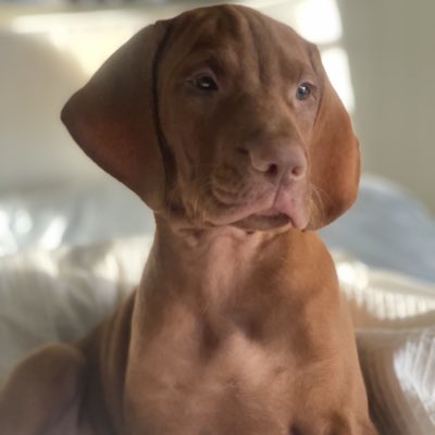 crossfirelog's tweet image. #NewProfilePic