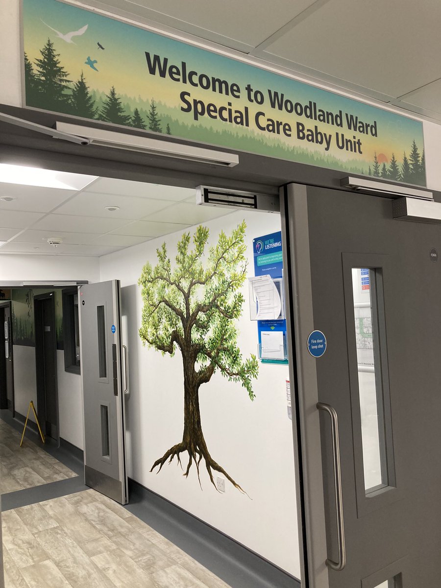 UHS Neonatal Unit (Southampton) (@uhs_neonates) on Twitter photo Southampton Neonatal Units new Woodlands SCBU is recruiting!! Come and join our team! <a href="/UHSFT/">University Hospital Southampton 💙</a> <a href="/SotonChildHosp/">Southampton Children's Hospital</a> Southampton Neonatal Units new Woodlands SCBU is recruiting!! Come and join our team! <a href="/UHSFT/">University Hospital Southampton 💙</a> <a href="/SotonChildHosp/">Southampton Children's Hospital</a>