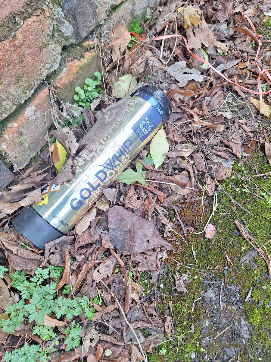 Matt Wilson (@nottmpm) on Twitter photo Cromwell Street, sandwiched between the Nottingham General Cemetery and some lovely old properties. Litter is a plentiful here including a Nitrous Oxide (N2O) 'Gold Whip' canister. Plus disconnected cable. Could <a href="/MyNottingham/">🏹 My Nottingham</a> street cleansing team attend please? Cromwell Street, sandwiched between the Nottingham General Cemetery and some lovely old properties. Litter is a plentiful here including a Nitrous Oxide (N2O) 'Gold Whip' canister. Plus disconnected cable. Could <a href="/MyNottingham/">🏹 My Nottingham</a> street cleansing team attend please?