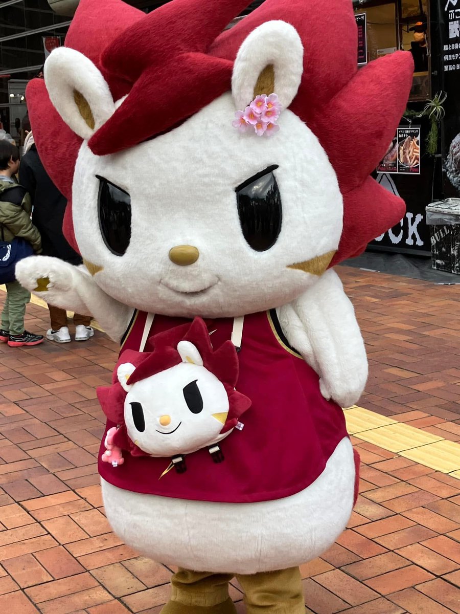 yustrike200's tweet photo. ちょうど去年の3/2もとどろき行ってたのですが、まだ河村くんビーコルにいたってのが驚きです！
昨年のロウルくんも可愛かったー💕
今日もロウルデイ楽しみにしてる！
#ROARDAY
#ロウルまみれ https://t.co/8P5Y4BGUfz
