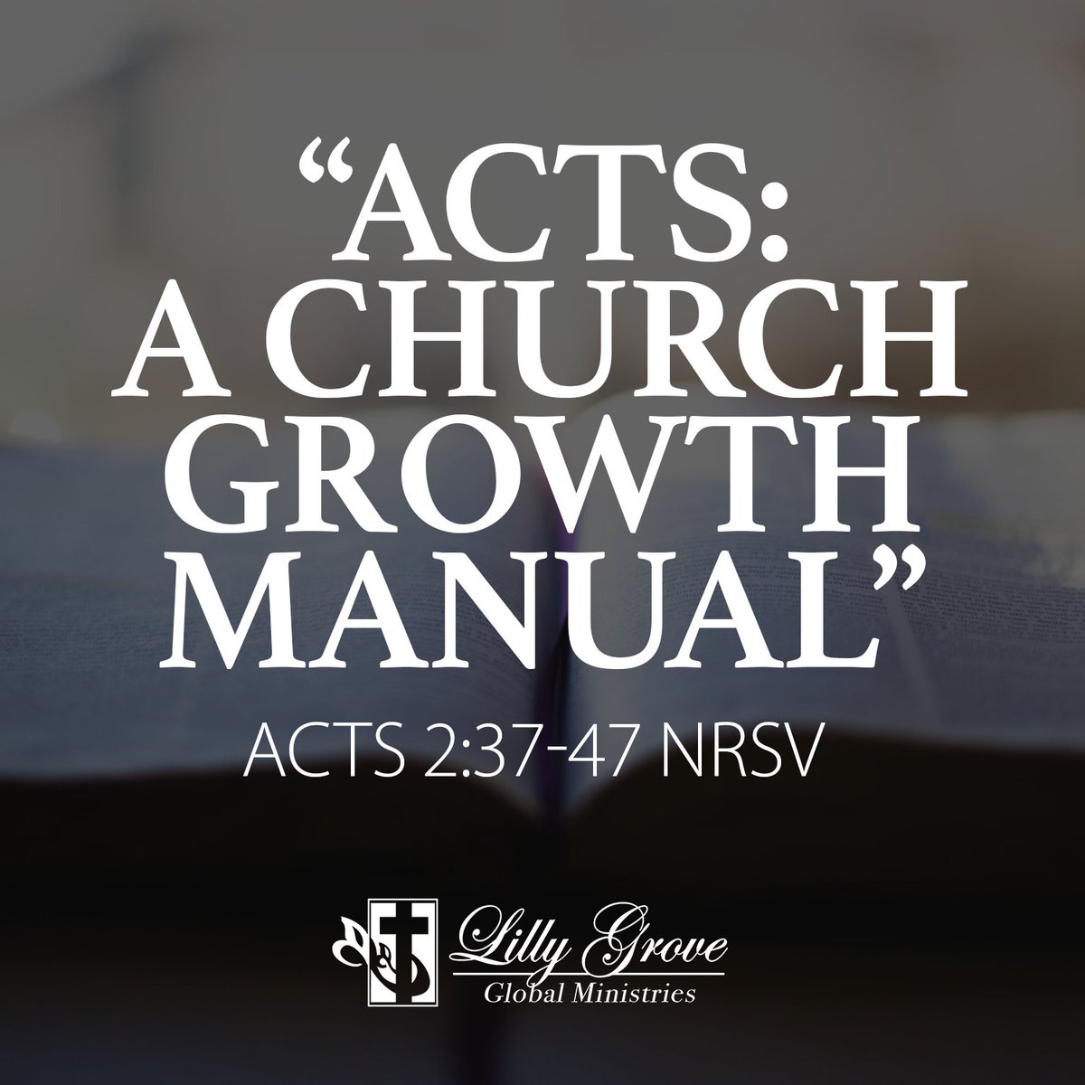 ✝ Join us for two life changing worship services this weekend at #LillyGrove. 
7:30AM - I've Been Battered, But I'm Still Blessed (Acts 27) - Rev. Mark Lewis
10:00AM - Acts: A Church Growth Manual (Acts 2) - Rev. Terry K. Anderson
⛪️ Doors open at 6:30AM (CT) 
📺 Livestream