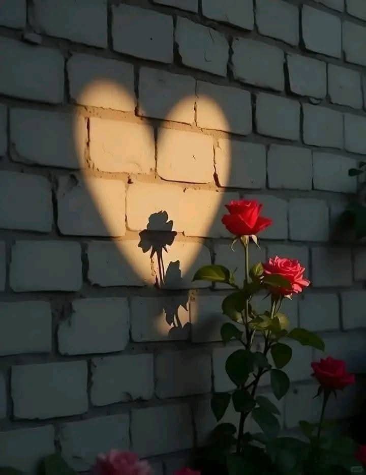 इंतजार अगर लम्बा हो तो चलता है 
                   मगर एकतरफा हो तो खलता है..!!❤️
      💞 #सुप्रभात 🙏 💞 #जय_श्री_राम 🚩💞