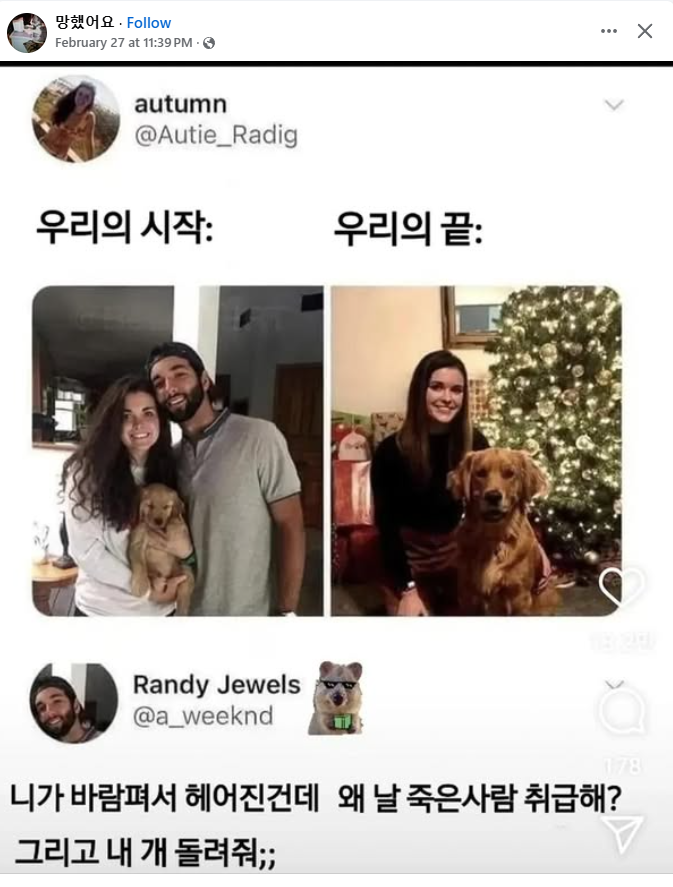 야캉야캉 tweet media