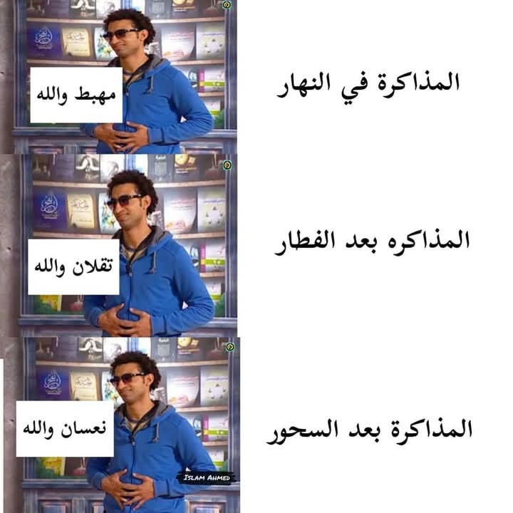 Sнiмαα🦋 (@shimaaahmed1311) on Twitter photo 