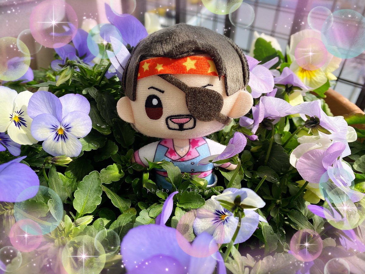 ekusorek's tweet photo. アイドル吾朗
キミこそ我らの36.5℃の太陽だよ🌞
☺︎
おはよう。今日はまるで桜が咲く頃の陽気だよ。でも東京マラソン走る人にはちょうど良いのかな？
#真島吾朗 #龍が如く #ryugagotoku #ぬい撮り #flowers https://t.co/OGgvrDoD9d