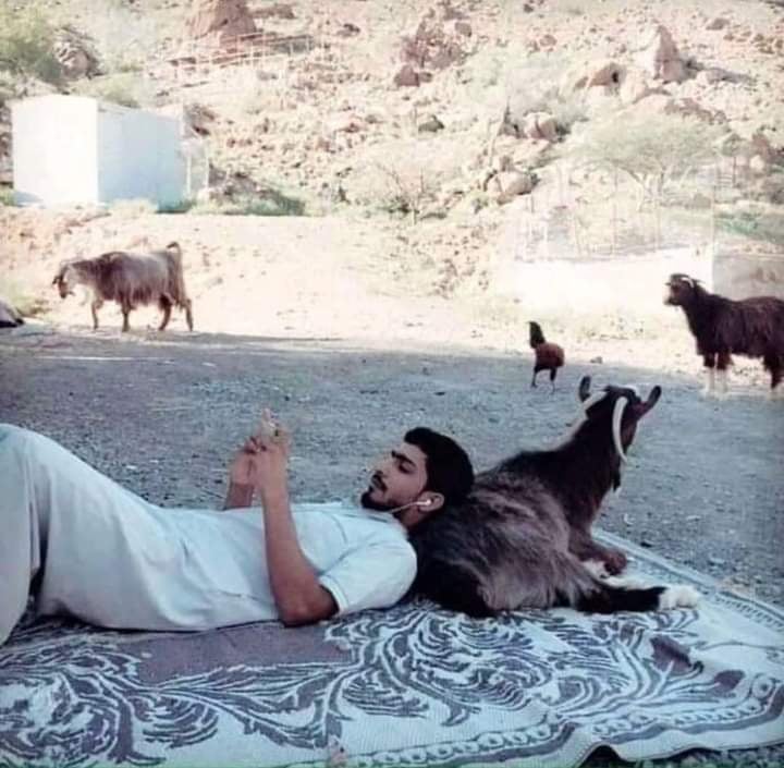 كثرة جوائزهم على سحب رتويت
يـاخـيـبه اللي بالـخـفـى رتـوتـوهـا

مره على تصويت من غير تصويت
شجرة حلامي من الـورق حتوتوها
#خالدـالفدعاني