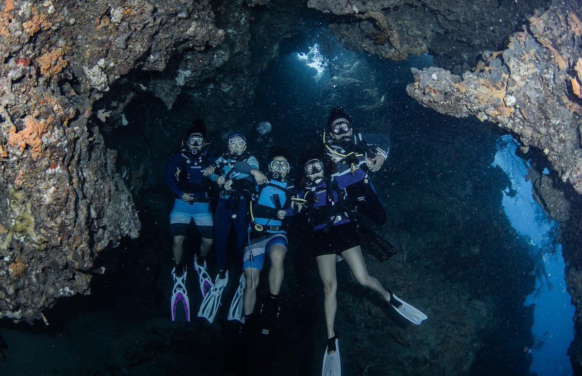 Elsa Laksono juga kawan saya di SMA Dempo Malang 1981-84, dokter gigi lulusan Universitas Trisakti, pernah dinas militer, kegemarannya di alam bebas, darat maupun laut, meninggal di Puncak Cartenz, Papua facebook.com/elsa.laksono