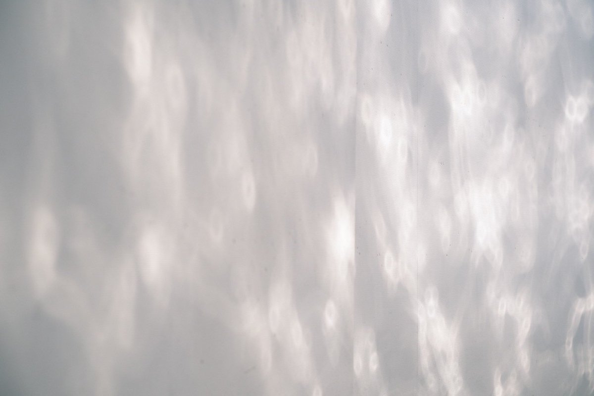 『黒山潟、此処に在りけり』
ビュー福島潟にて、3/16(日)までの展示となっております！
#福島潟 #黒山潟 #みずとつちの芸術祭 #みずつち #新潟 
2024.mizutsuchi.com