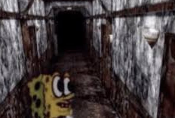 AZ is so cute he looks like a very mean and stoic kitty