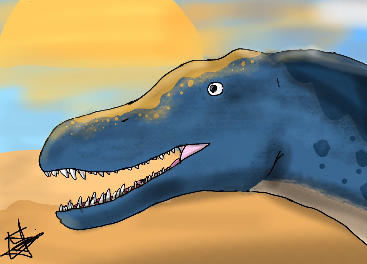 ItsPepinoGamer's tweet image. Reconstrucción de un Eoraptor
PD: Me fue útil para lo de los músculos el vídeo de @PaleoLazo , suscribanse o les cae machetazo.
#paleoart #dinosaurs #triasic #eoraptor #reconstruction