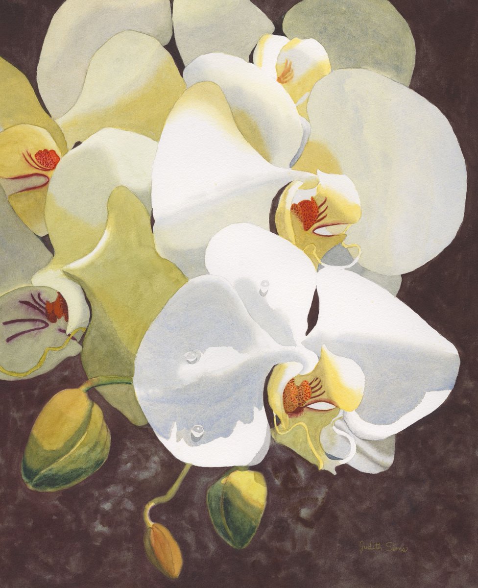 SweetD_NFT tweet media