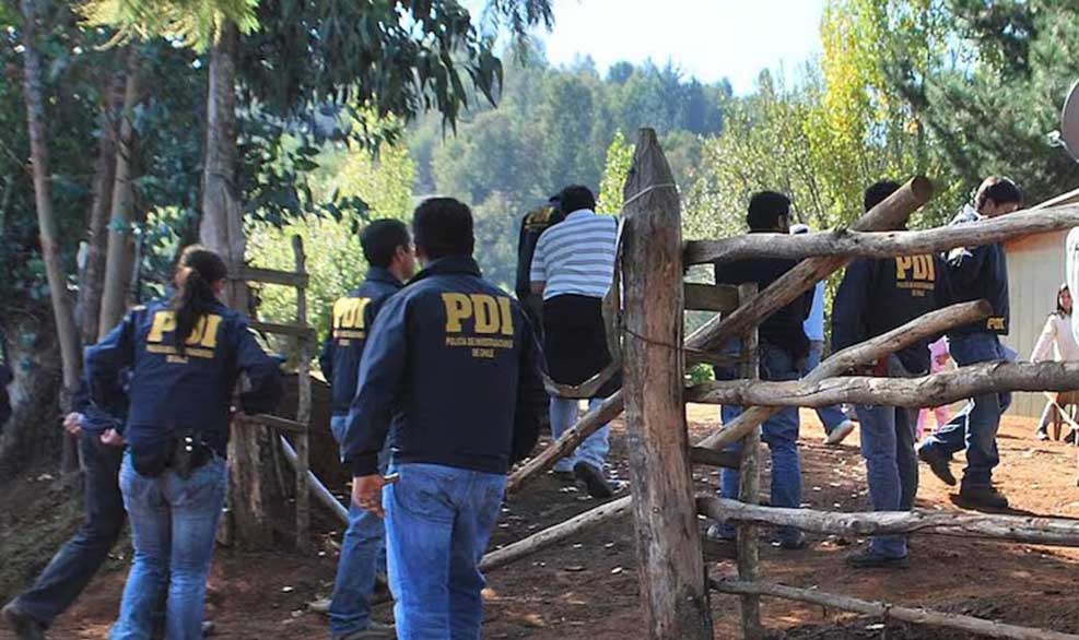 GAMBA_CL's tweet photo. Ya es costumbre: Encuentran gigantesca plantación de marihuana en Comunidad Mapuche de Temucuicui https://t.co/uEwwxXUWTV https://t.co/L6HstUsFaQ