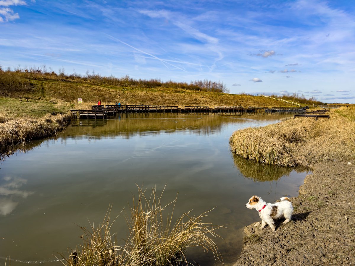 SeanBarnettPhotography (@seanbarnettphot) on Twitter photo Chester’s favourite place to walk, The Avenue Country Park
.
<a href="/thelandtrust/">The Land Trust</a>
<a href="/NaturalEngland/">Natural England</a>
@natures_voice
@bbcspringwatch
@derbyswildlife
#wildlife
#nature
#TwitterNatureCommunity
#NaturePhotography
#NatureLover
#wildlifephotography
#BBCWildlife
#BBCWildlifePOTD Chester’s favourite place to walk, The Avenue Country Park
.
<a href="/thelandtrust/">The Land Trust</a>
<a href="/NaturalEngland/">Natural England</a>
@natures_voice
@bbcspringwatch
@derbyswildlife
#wildlife
#nature
#TwitterNatureCommunity
#NaturePhotography
#NatureLover
#wildlifephotography
#BBCWildlife
#BBCWildlifePOTD