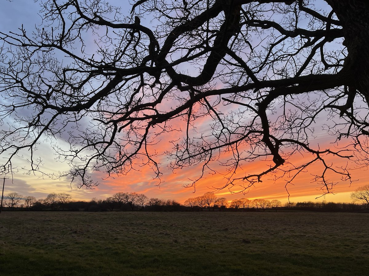 Stunning sky this evening… 🌅 🙏

#sunset #saturday #wintersun