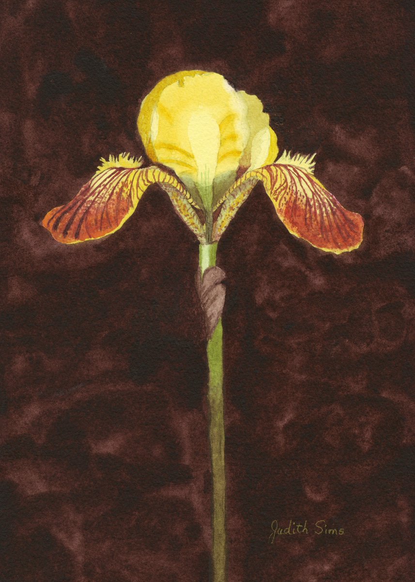 SweetD_NFT tweet media