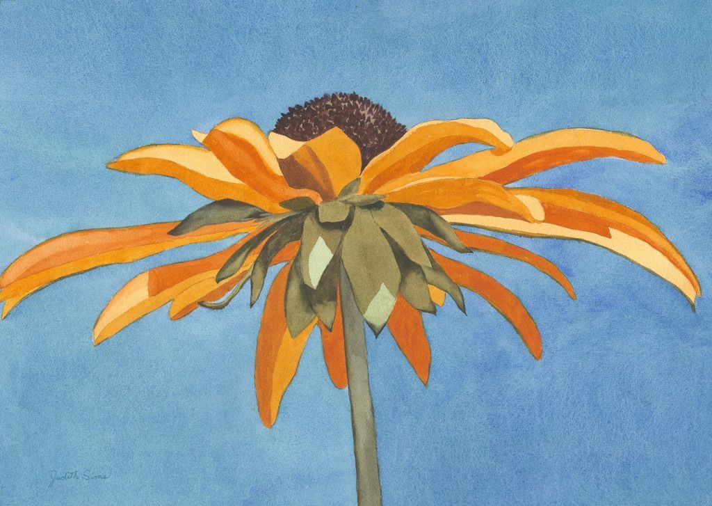 SweetD_NFT tweet media