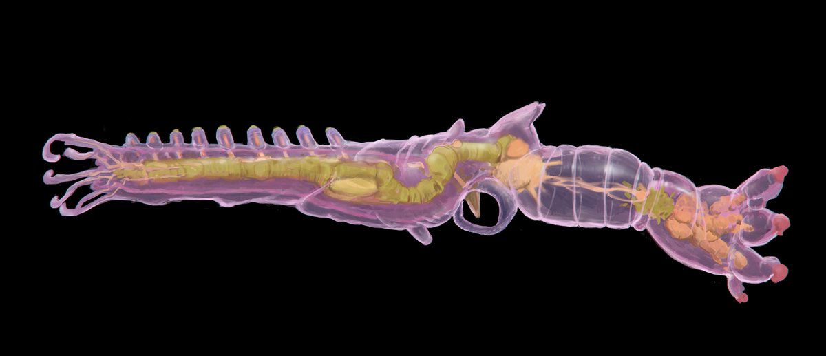 NEOMECHANICA tweet media