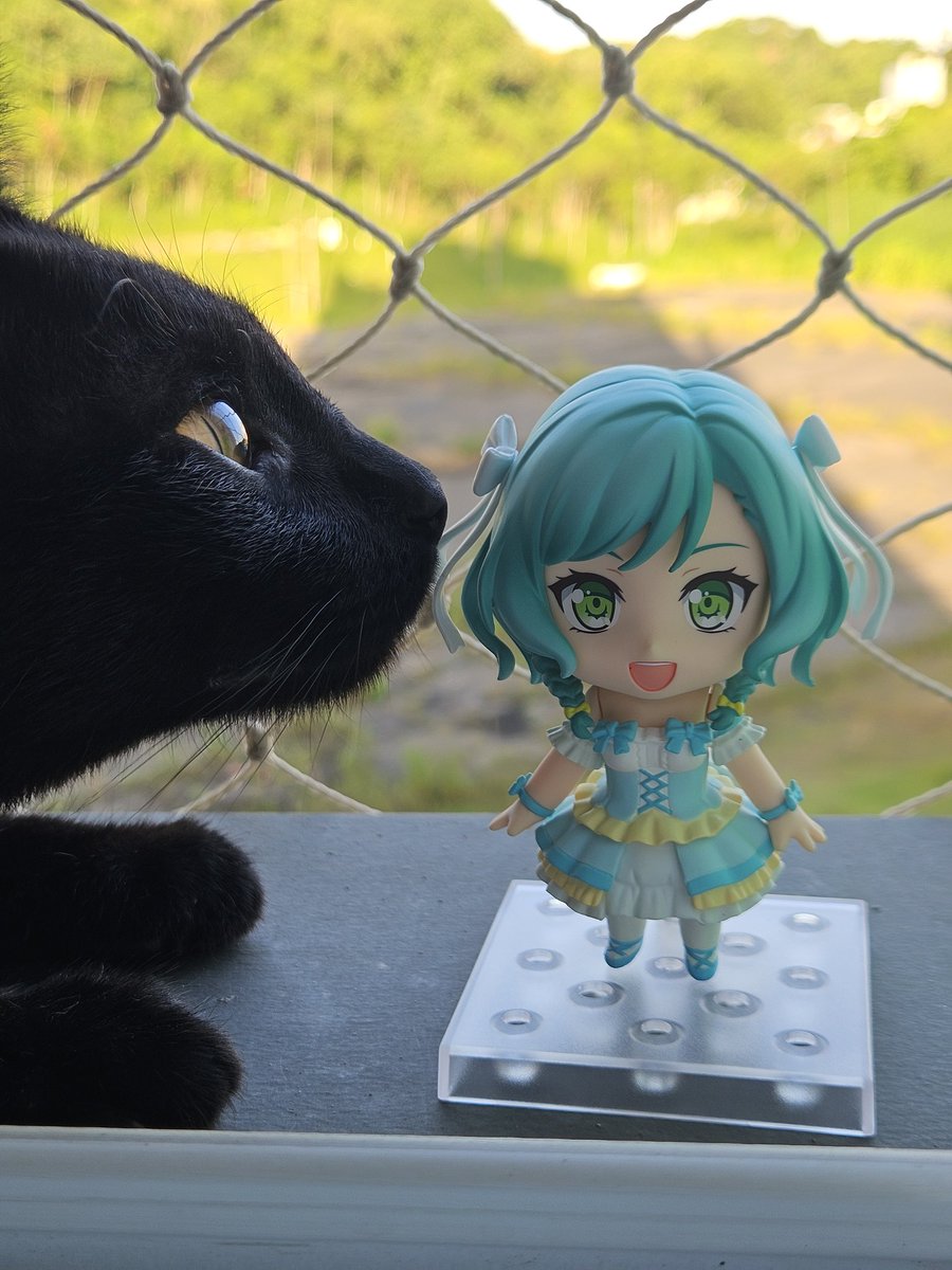 dekkomaru's tweet photo. brutal https://t.co/I293GsqObr