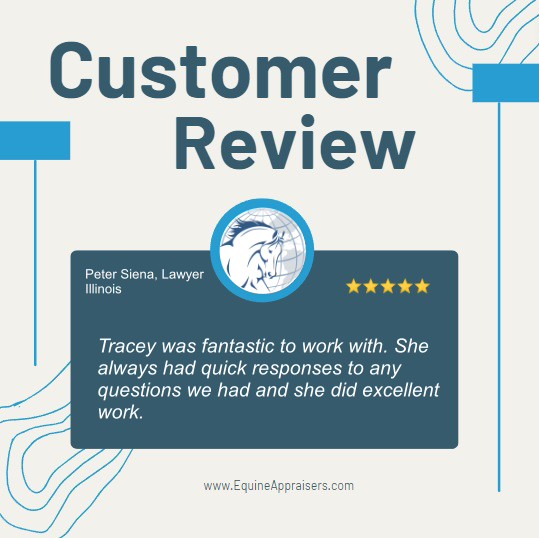 daventryequine's tweet photo. A new review for Daventry Appraisal Services. https://t.co/9aXIl5VqL0 https://t.co/NiICXdPyNK