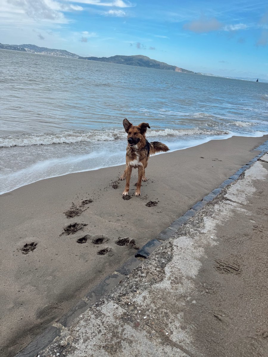 Brianne Kimmel tweet media