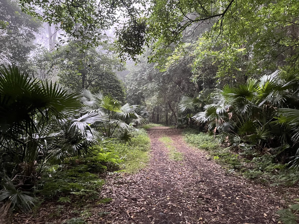 Beautiful (&amp; hilly!) Mt Kembla trail 🏃‍♀️🏃‍♀️