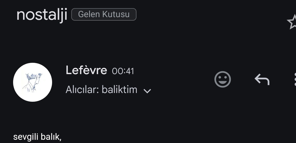 anılarımız, geçmişimize götüren tek yönlü biletimiz bizim. değişebilir, dönüşebilirler; insan olmanın belki de en anlamlı yanlarından biridir bu. aynı anıyı iki kişi yaşarız ama farklı hatırlarız. bir şeyleri ekler ve çıkarırız.insan anılarını anlamlandırmadan nasıl yaşar ki ✨️