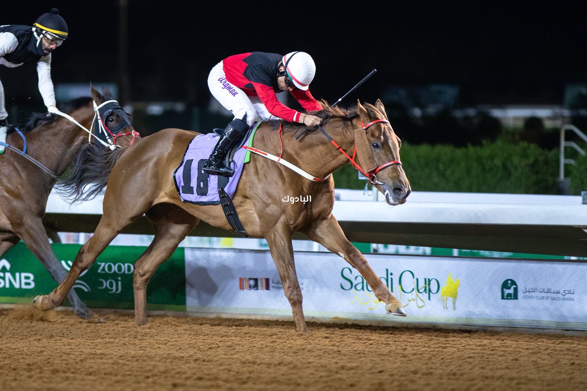 ⚡️‏شبكة مضامير الكويت ⚡️ tweet media