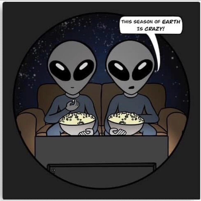 IrenaBuzarewicz's tweet image. 