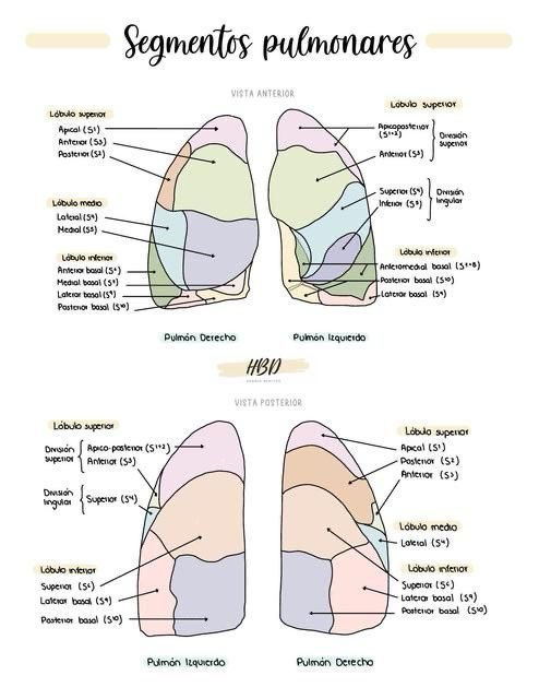 Oren Gottfried, MD tweet media