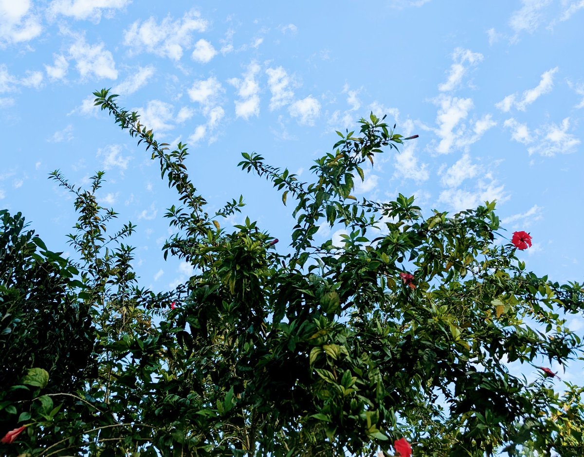 無人島に持って行くとしたら？

私は家族一択！

何かあれば支えてくれるし、

自由を尊重してくれる。

それは、お空に旅立った家族も同じです。

あなたの娘でいさせてくれて、

ありがとう。