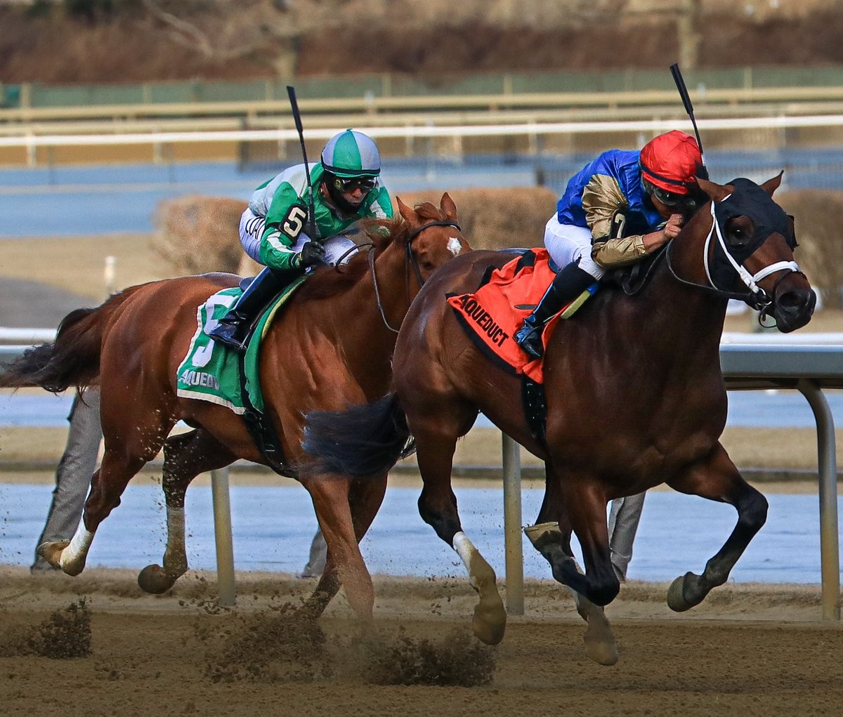 saberonyx's tweet photo. Big win by #FloodZone to take the #GothamStakes ridden by @LuguJr @bradcoxracing @KentuckyDerby @NYRABets @TheNYRA @TheTriactor @Roadwarrior627 @KFrnch @Doogievet @HorseGuyAnthony @blongphee67 @SadandSulk @HRRN @HR_Nation @TropicanaDerby @lynnsatt @FanDuel_Racing #TheBigA https://t.co/HQnARbwbmX