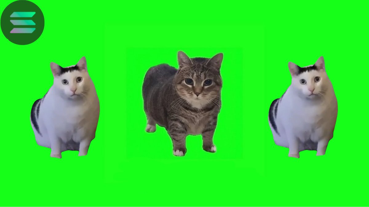 00:16 &amp; 00:30 

Spinning Cat x $Huhcat

#Oiiaoiia huh